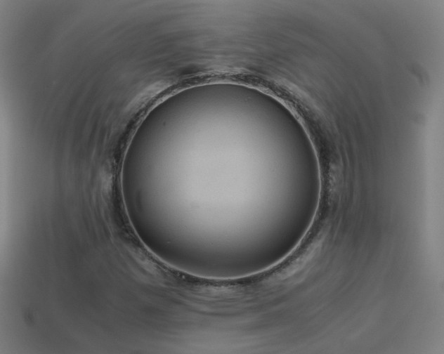 X0000114701257200910211245