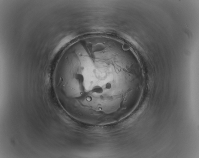 X0000114701259200910211245