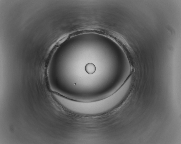 X0000114701260200910211245