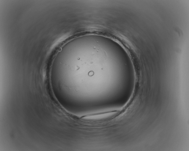 X0000114701261200910211245