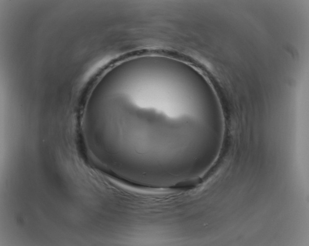 X0000114701263200910211245