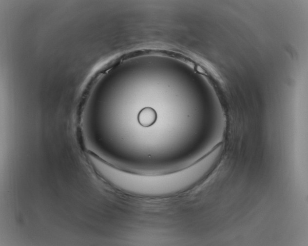 X0000114701264200910211245