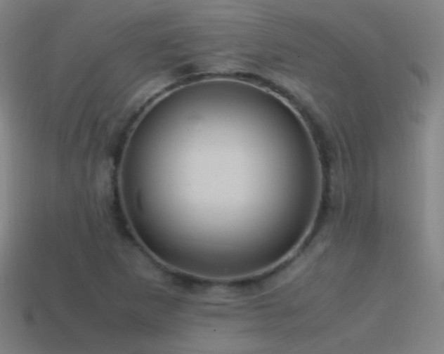 X0000114701265200910211245