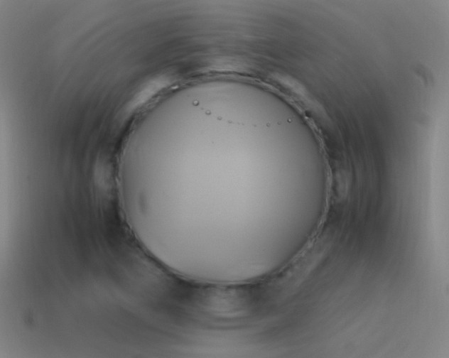 X0000114701266200910211245