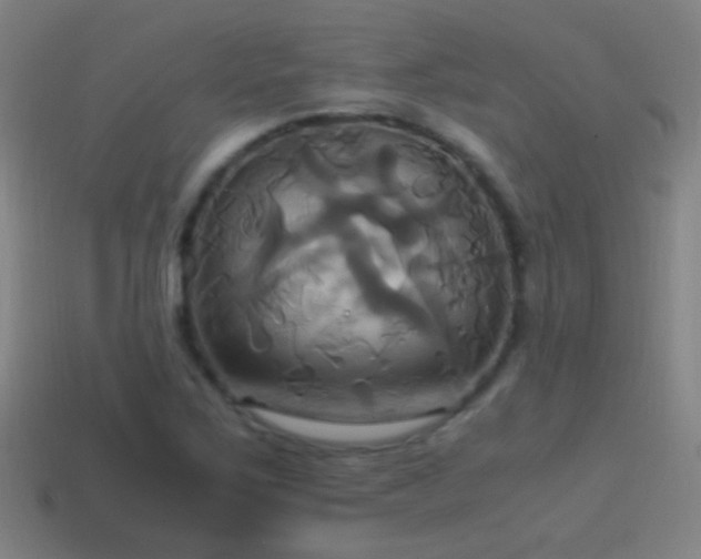 X0000114701267200910211245