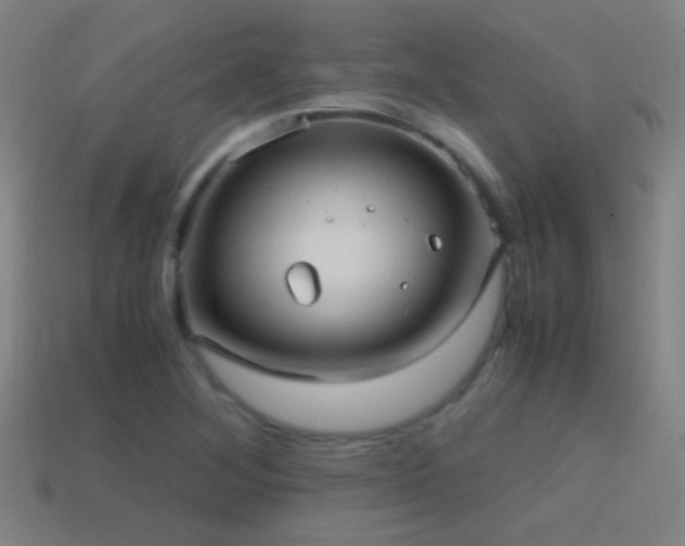 X0000114701268200910211245