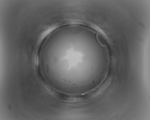 X0000114701269200910211245