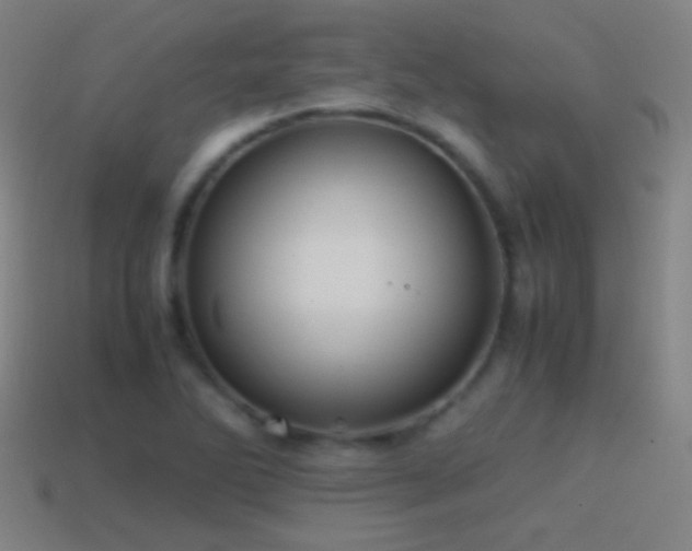 X0000114701270200910211245