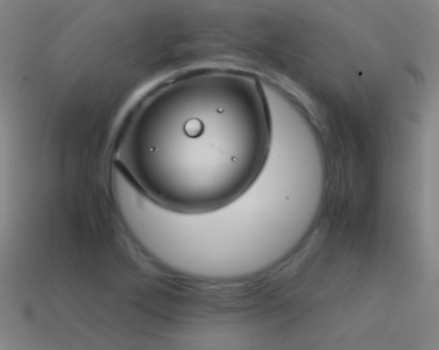 X0000114701272200910211245