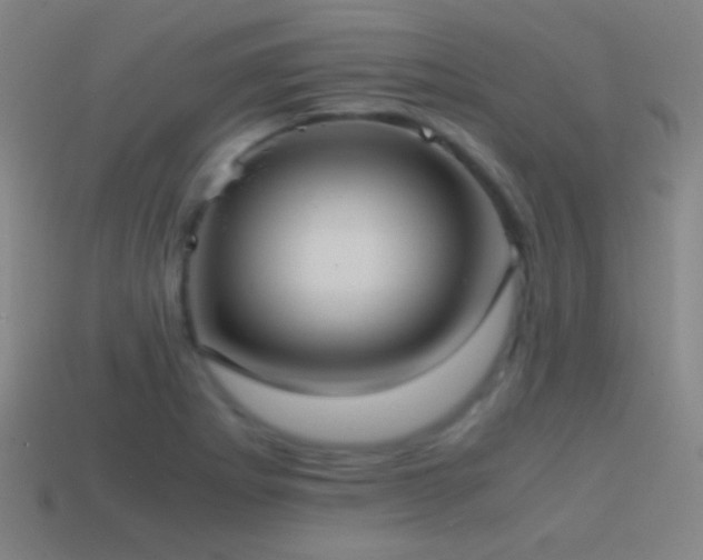 X0000114701273200910211245