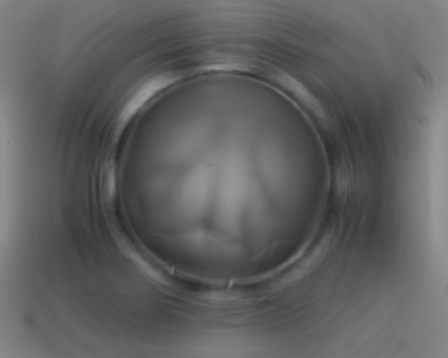 X0000114701274200910211245