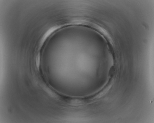 X0000114701275200910211245