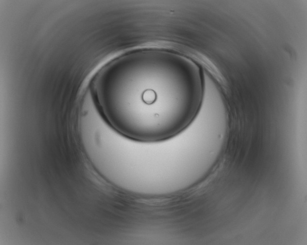 X0000114701276200910211245