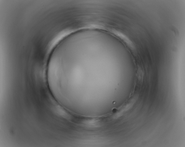 X0000114701278200910211245