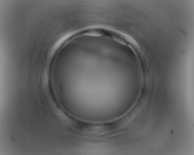 X0000114701279200910211245