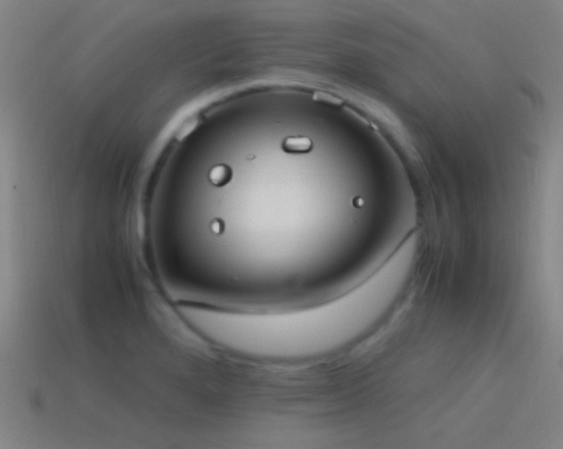 X0000114701280200910211244