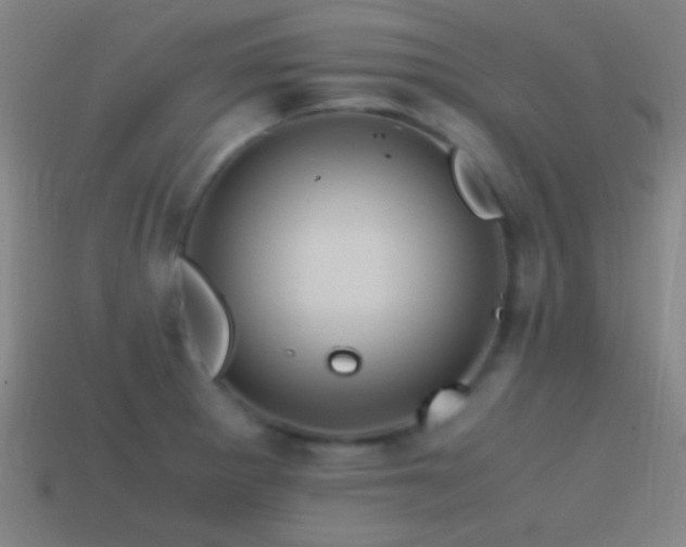 X0000114701281200910211244