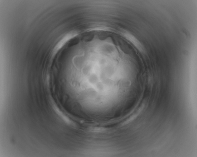 X0000114701282200910211244