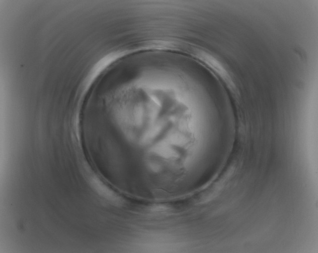 X0000114701283200910211244