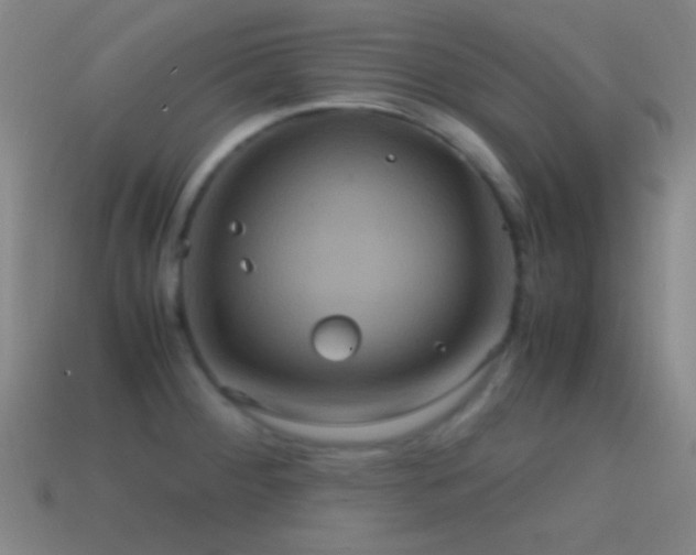 X0000114701284200910211244