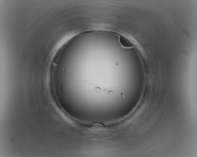 X0000114701285200910211244