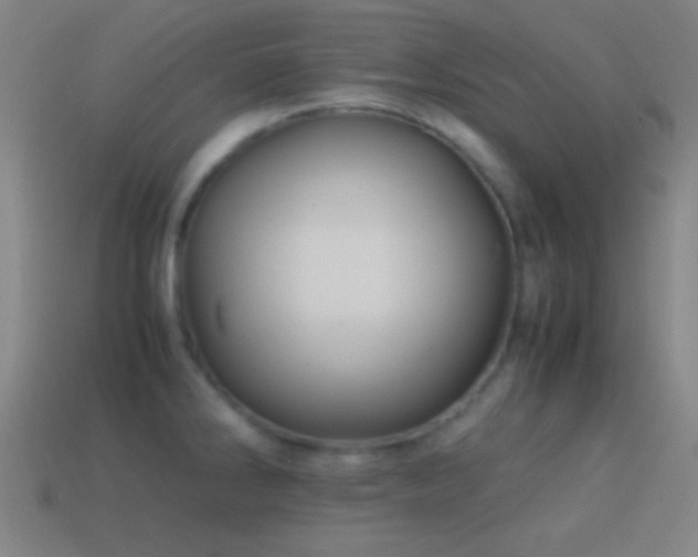 X0000114701286200910211244