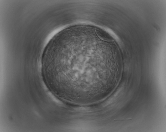 X0000114701287200910211244