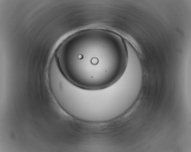 X0000114701288200910211244