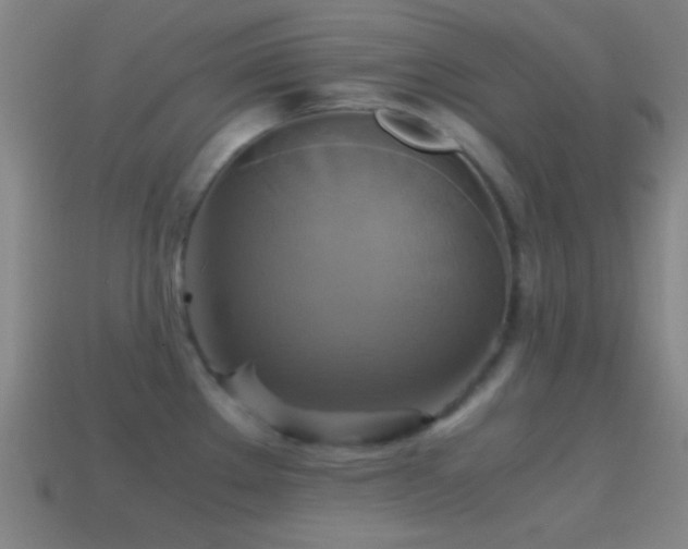 X0000114701289200910211244