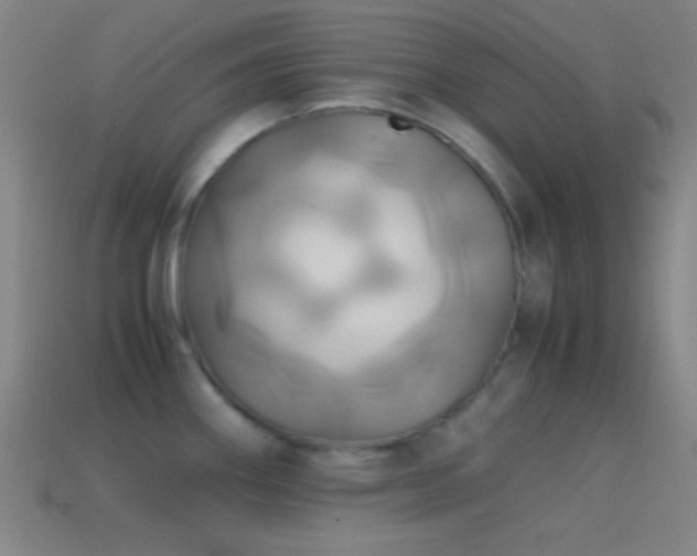 X0000114701290200910211244