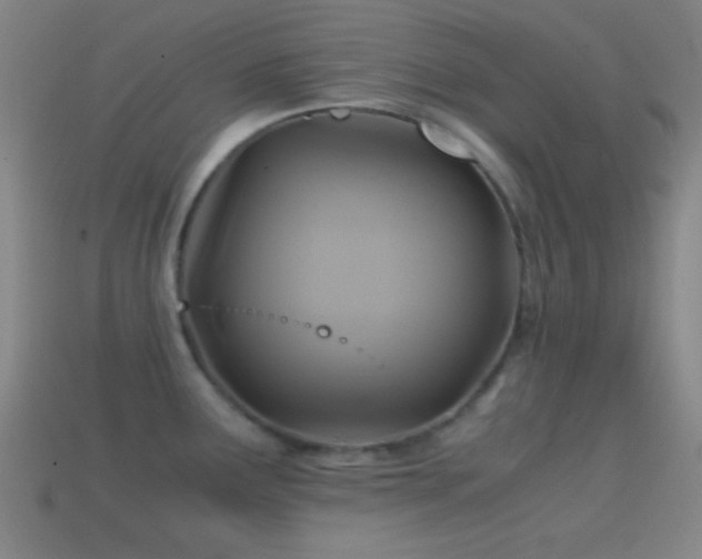 X0000114701291200910211244