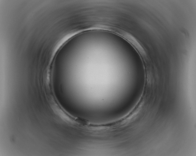 X0000114701292200910211244