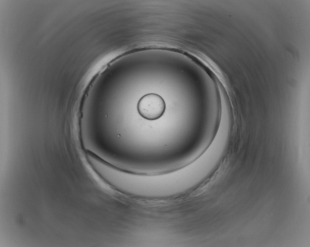 X0000114701293200910211244