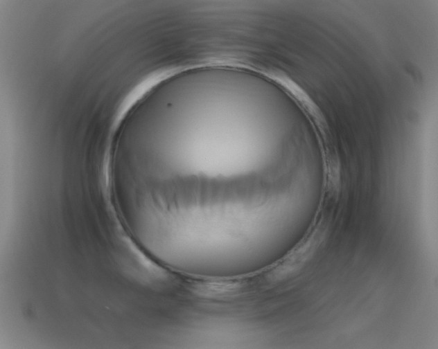 X0000114701294200910211244