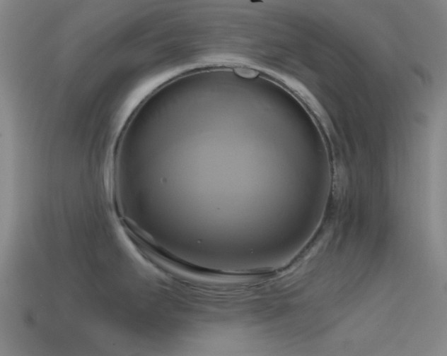 X0000114701295200910211244