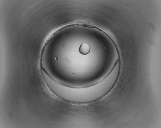 X0000114701296200910211244