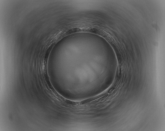 X0000114701298200910211244