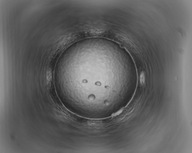 X0000114701299200910211244