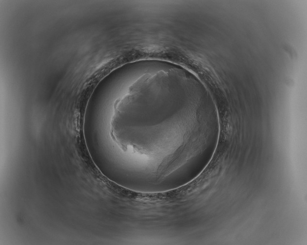 X0000114701301200910211244