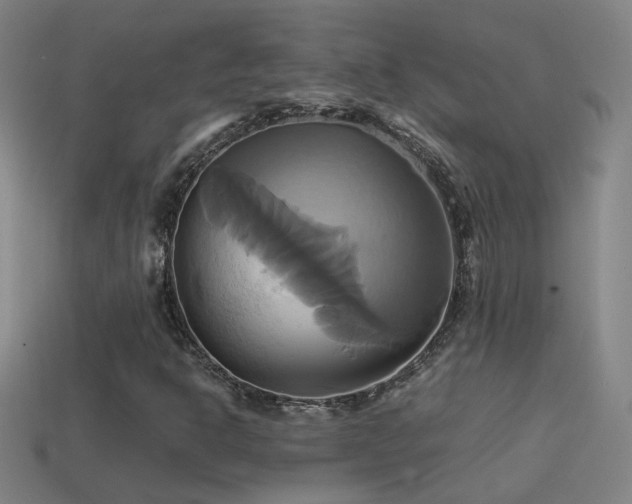 X0000114701302200910211244