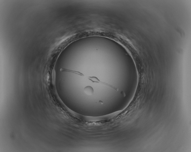 X0000114701303200910211244