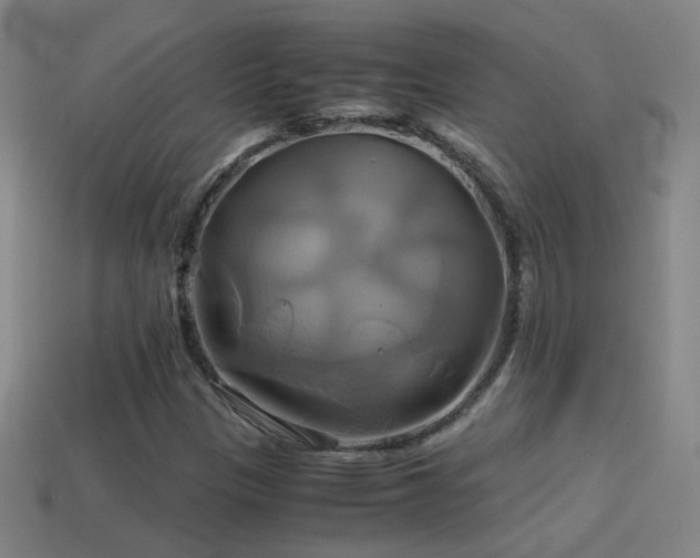 X0000114701305200910211244