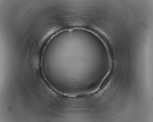 X0000114701306200910211244