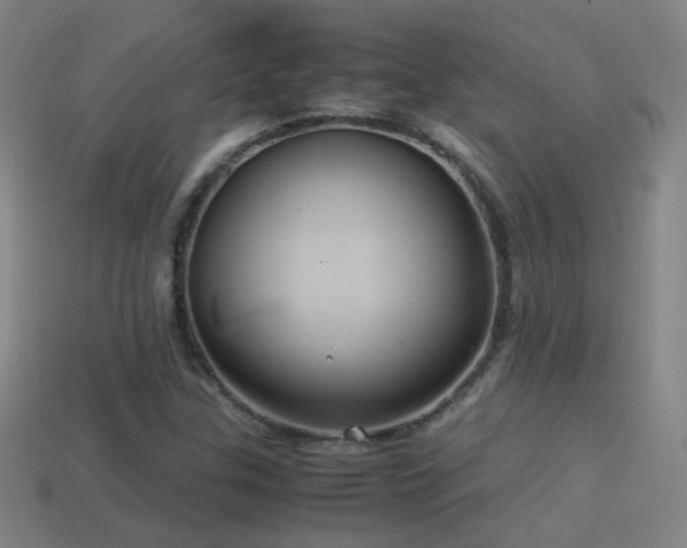 X0000114701307200910211244