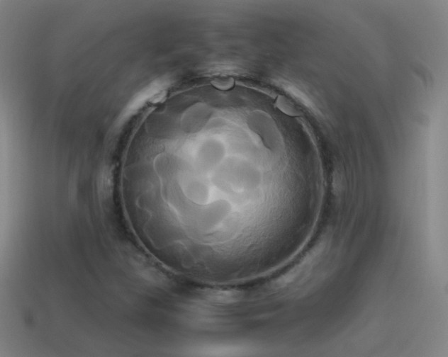 X0000114701309200910211244