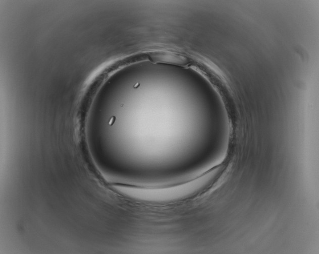 X0000114701310200910211244