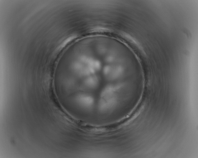 X0000114701313200910211244