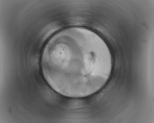 X0000114701314200910211244