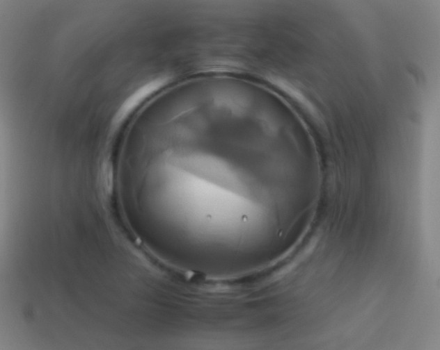 X0000114701317200910211244