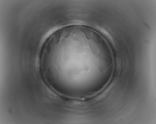 X0000114701318200910211244